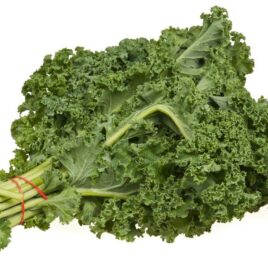 Freshly Harvested Kale Cabbage